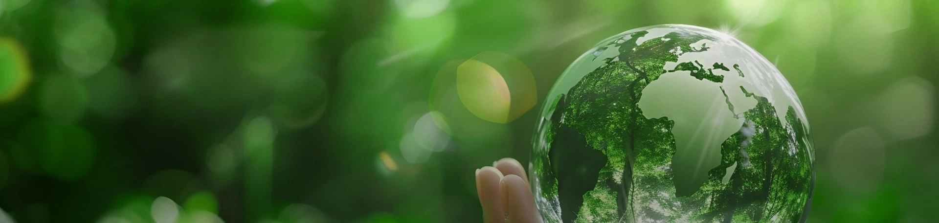 Climate Crisis Management