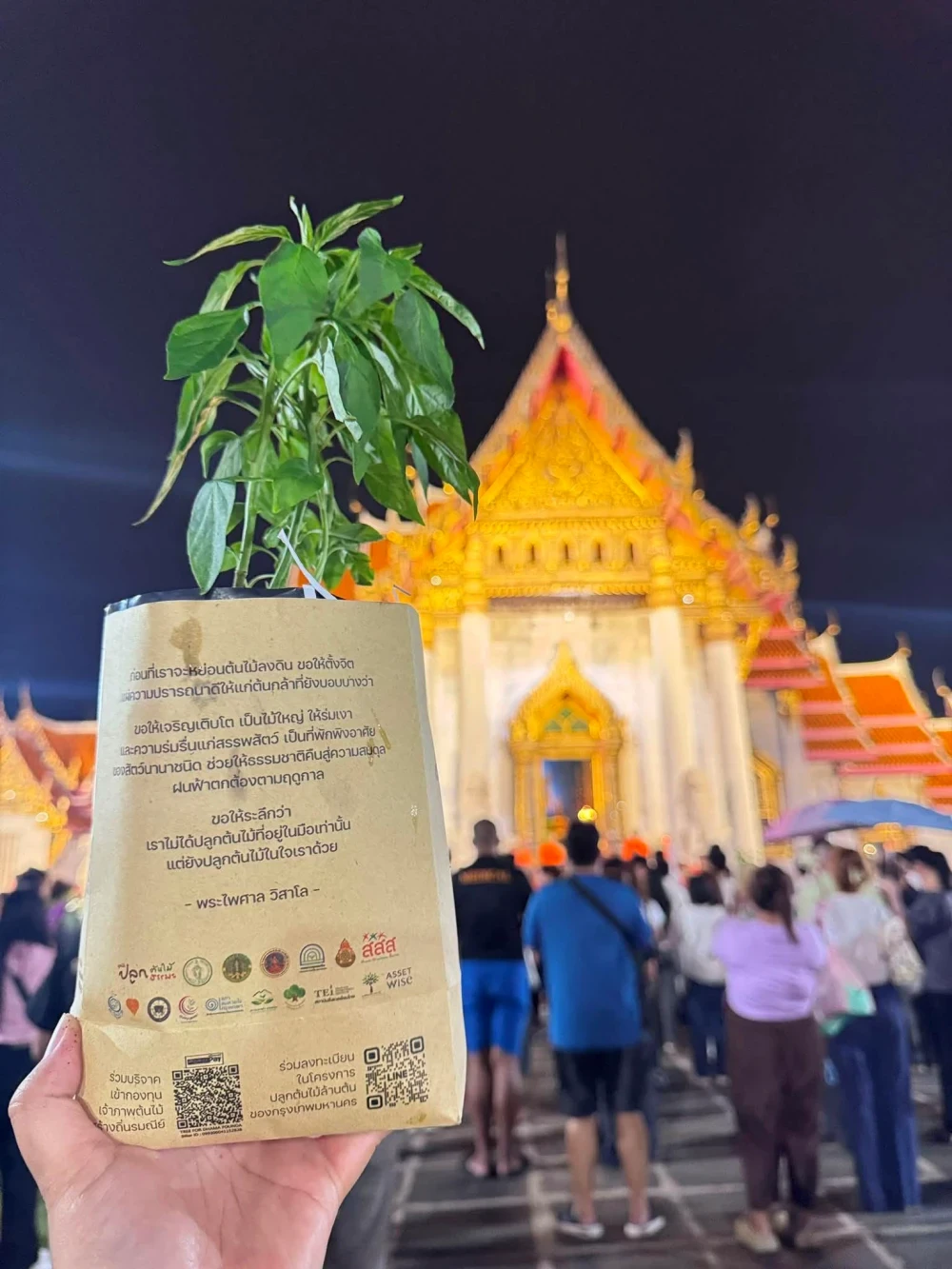 Eco-Friendly Candlelight Procession: Using Trees Instead of Incense to Fight Dust Pollution