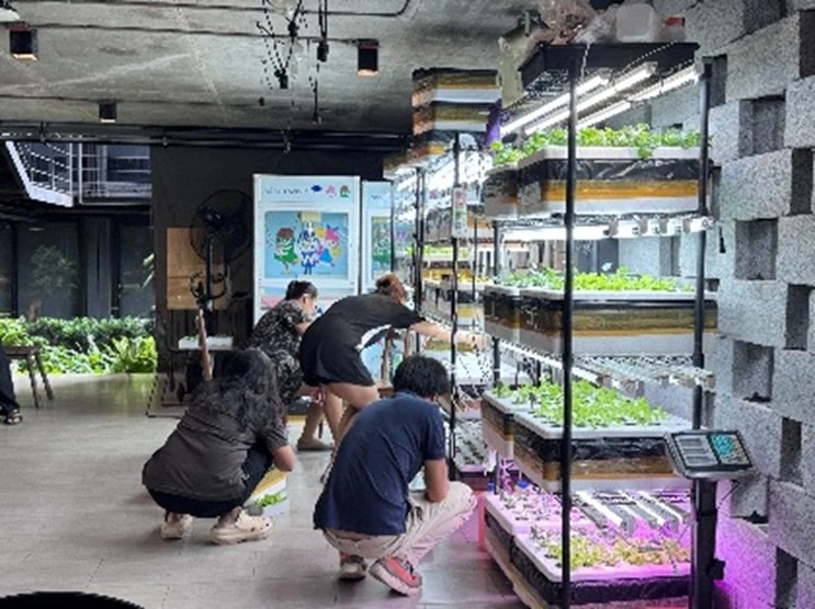 Happy Growing