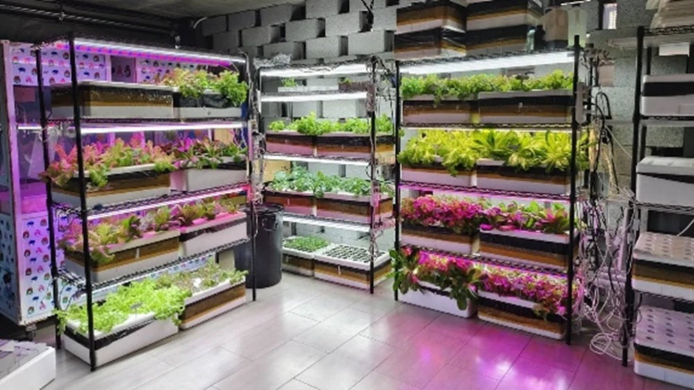 Happy Growing