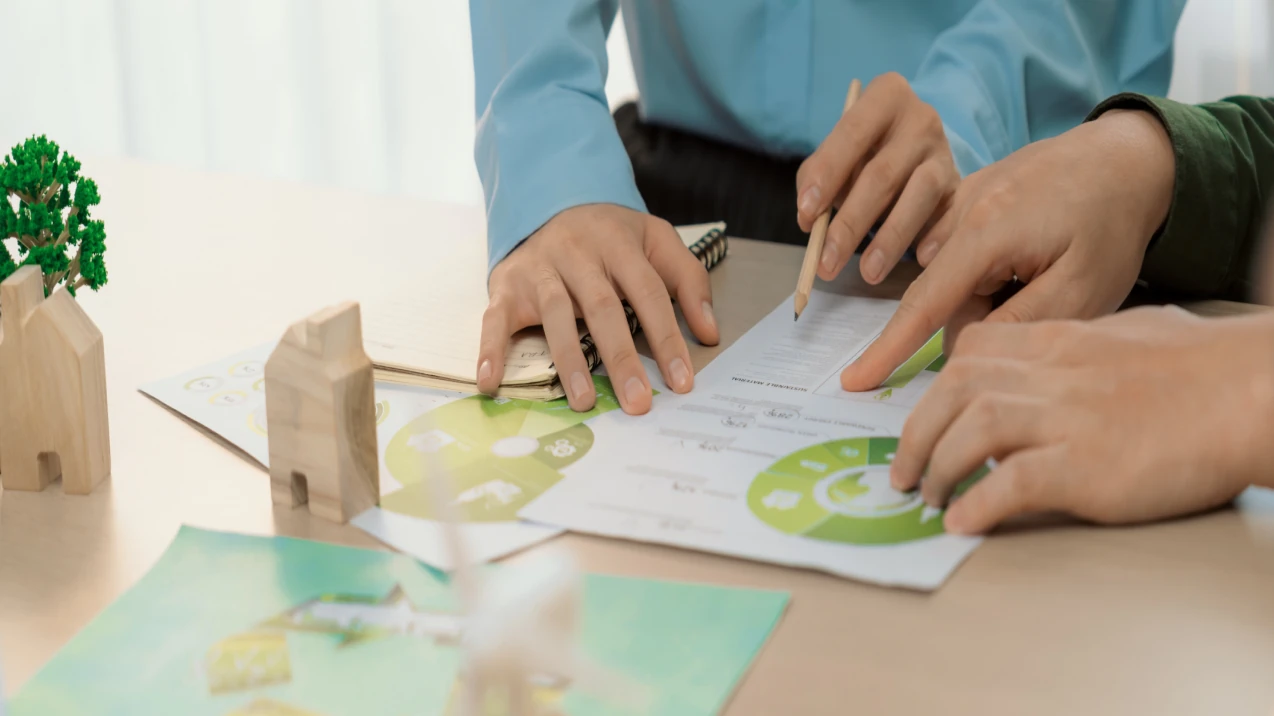 Environmental Impact Assessment (EIA) and Mitigation Strategy